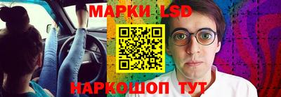 дмт Славгород