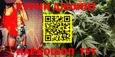 дмт Славгород