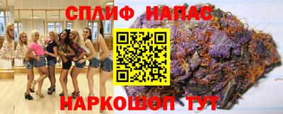 спиды Сланцы